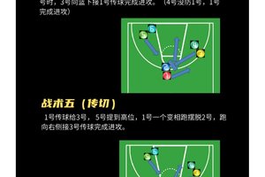 如何在篮球训练中有效运用战术?掌握两种关键策略